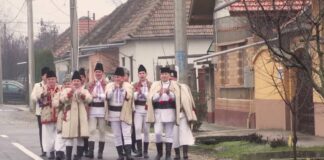 Ansamblul Artistic Profesionist Crișana „La corindat”, obicei practicat din vremuri străvechi în satele de pe valea Crisului Repede și nu numai (video)