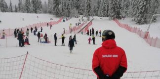 Partie ski stâna de vale