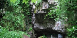 Peștera de la Vadu Crișului