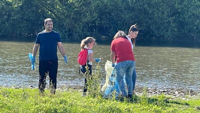 igienizare în Aleșd