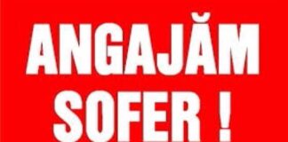 Firmă de transport din Aleșd, angajează sofer profesionist