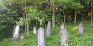 Vadu Crisului – doar cimitirul mai sta marturie ca in localitate a trait candva o comunitate de evrei cimitirul evreiesc Vadu Crisului