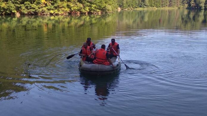 Pompieri în Lacul Vida