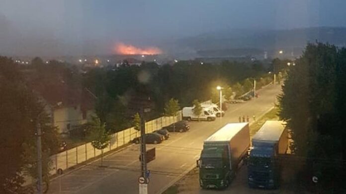 Incendiu de vegetaţie lângă orașul Aleșd