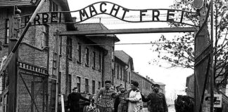 Supraviețuitori eliberați de sovietici