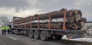 Controale pe drumul dintre Vârciorog și Dobrești. S-au aplicat sancțiuni contravenționale în valoare de 53.000 de lei