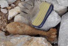 Bombă descoperită în Subpiatră