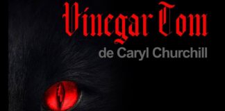Premieră națională la Teatrul Regina Maria: VINEGAR TOM
