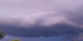 Cod galben de ploi, vijelii şi caniculă în Bihor