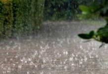 Informare meteo: ploi și vânt puternic în mai multe regiuni ale țării Ploi abundente