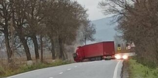 Accident Topa de Criș