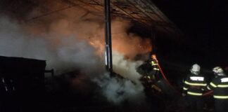 Incendiu depozit de material lemnos din Săcueni