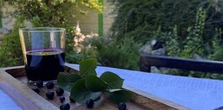 Sucul de aronia – o minune a naturii cu sute de beneficii pentru sănătatea ta!