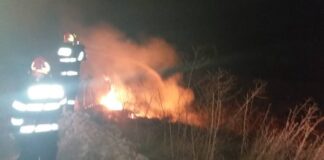 Incendiu de vegetație uscată în Damiș