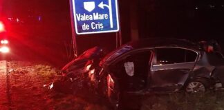 Căruța lovită mașina Borod