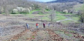 Acțiune de împădurire în Urvind