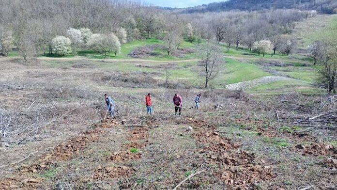 Acțiune de împădurire în Urvind