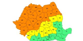 Cod Portocaliu de FURTUNĂ în Bihor