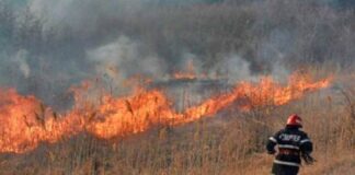 Arderea vegetației uscate, interzisă! Incendiu în Călățea, comuna Aștileu Incediu vegetație