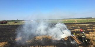 Incendii provocate de arderea vegetației uscate în Uileacu de Criș, Telechiu, Fâșca și Brusturi Incendii provocate de arderea vegetației uscate