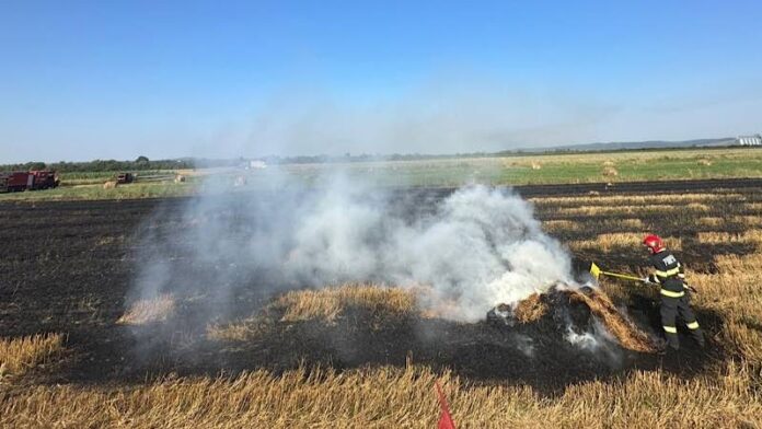 Incendii provocate de arderea vegetației uscate