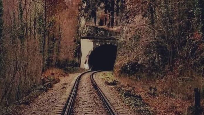 Tunelul din Vadu Crișului