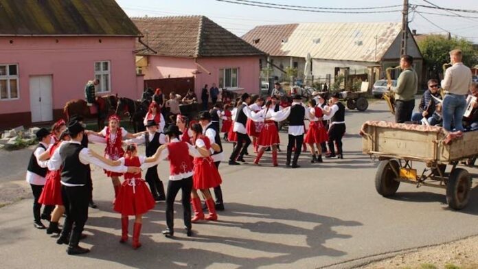 Sărbătorirea recoltei de struguri în comunitatea maghiară din Sîntimreu Sărbătorirea recoltei de struguri în comunitatea maghiară din Sîntimreu