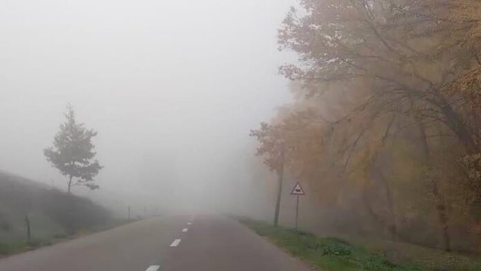 Ceață în Bihor Ceață în Bihor