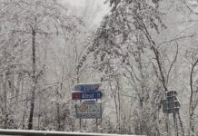 Informare meteorologică: vreme rece, ninsori și viscol în aproape toată țara Zăpadă la Sinteu
