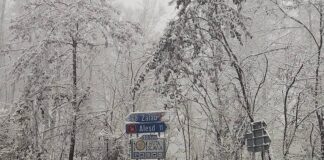 Informare meteorologică: vreme rece, ninsori și viscol în aproape toată țara Zăpadă la Sinteu
