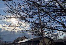 Revelion cu ger și un început de an cu temperaturi „de primăvară” în Bihor Vreme schimbătoare în Aleșd