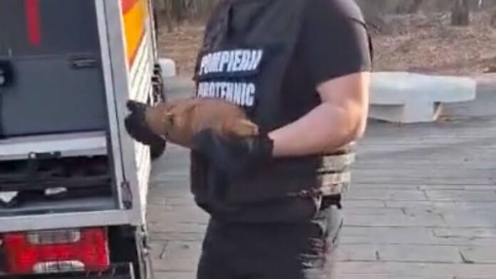 Bombă descoperită în Băile Felix Bombă descoperită în Băile Felix