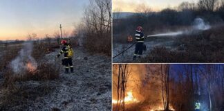 Incendii de vegetație în satele Zece Hotare și Hotar Incendii de vegetație în satele Zece Hotare și Hotar