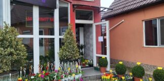 Florăria Hope din Aleșd – Eleganță și culoare pentru orice ocazie! Florăria Hope