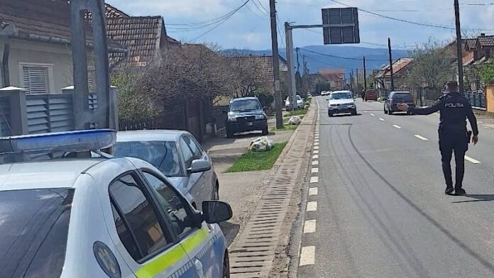 Oprit de poliție