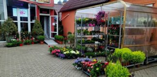 Florăria Hope din Aleșd – Emoție, culoare și eleganță în fiecare floare! Florăria Hope din Aleșd