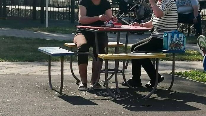 cojile de semințe pe jos în parcul din Aleșd