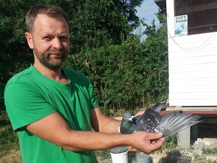 Porumbeii lui Schiop Matia Călin