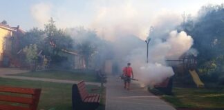 Vadu Crișului: Acțiune de dezinsecție