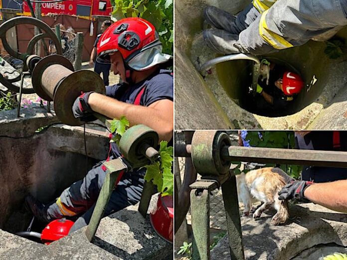 Pisică salvată dintr-o fântână adâncă