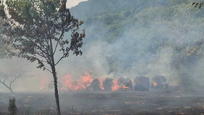 Incendiu la anexa unei case din Călățea Incendiu la anexa unei case din Călățea
