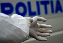 Criminalistica