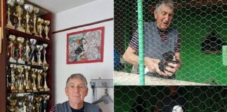 Kalman Ludovic – Pasiune și ambiție Kalman Ludovic