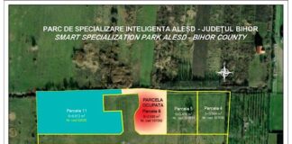 S-a lansat licitația pentru concesionarea parcelelor din Parcul Industrial din Aleșd