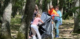 36 de elevi din zona Aleșd, premiați în cadrul concursului „Bihor Curat” – ediția 2025 elevi din zona Aleșd, premiați în cadrul concursului „Bihor Curat” – ediția 2025