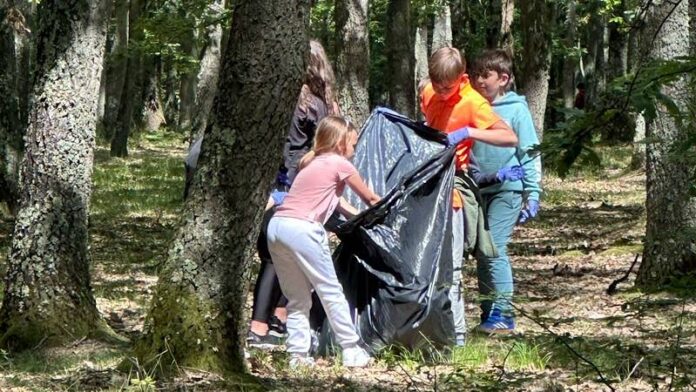 elevi din zona Aleșd, premiați în cadrul concursului „Bihor Curat” – ediția 2025