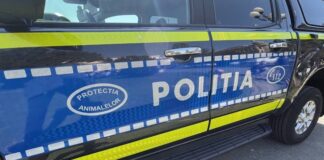 Femeie reținută după ce ar fi ucis trei pui de câine aruncându-i într-o fântână Poliţia animalelor