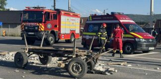Accident pe centura Aleșdului: căruță lovită de o mașină, cal mort, cinci adulți și un copil implicați căruță lovită de o mașină centra Aleșd