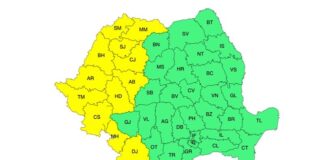 COD GALBEN de caniculă și disconfort termic ridicat în Bihor