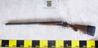 Fost comisar din Poliția Aleșd, sancționat după ce arma sa a ajuns la un braconier Pușcă vânătoare